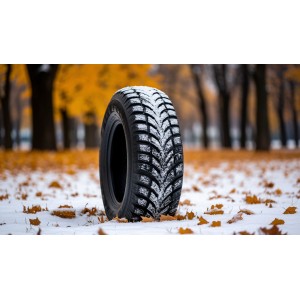 Шины Barez: Подробный обзор российского бренда шин