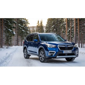 SUNFULL SF-988. Обзор шин, обеспечивающих прогнозируемое торможение на льду